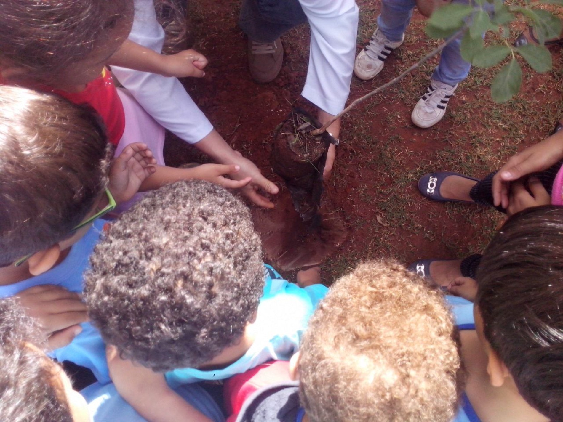 PLANTAR E PRESERVAR
