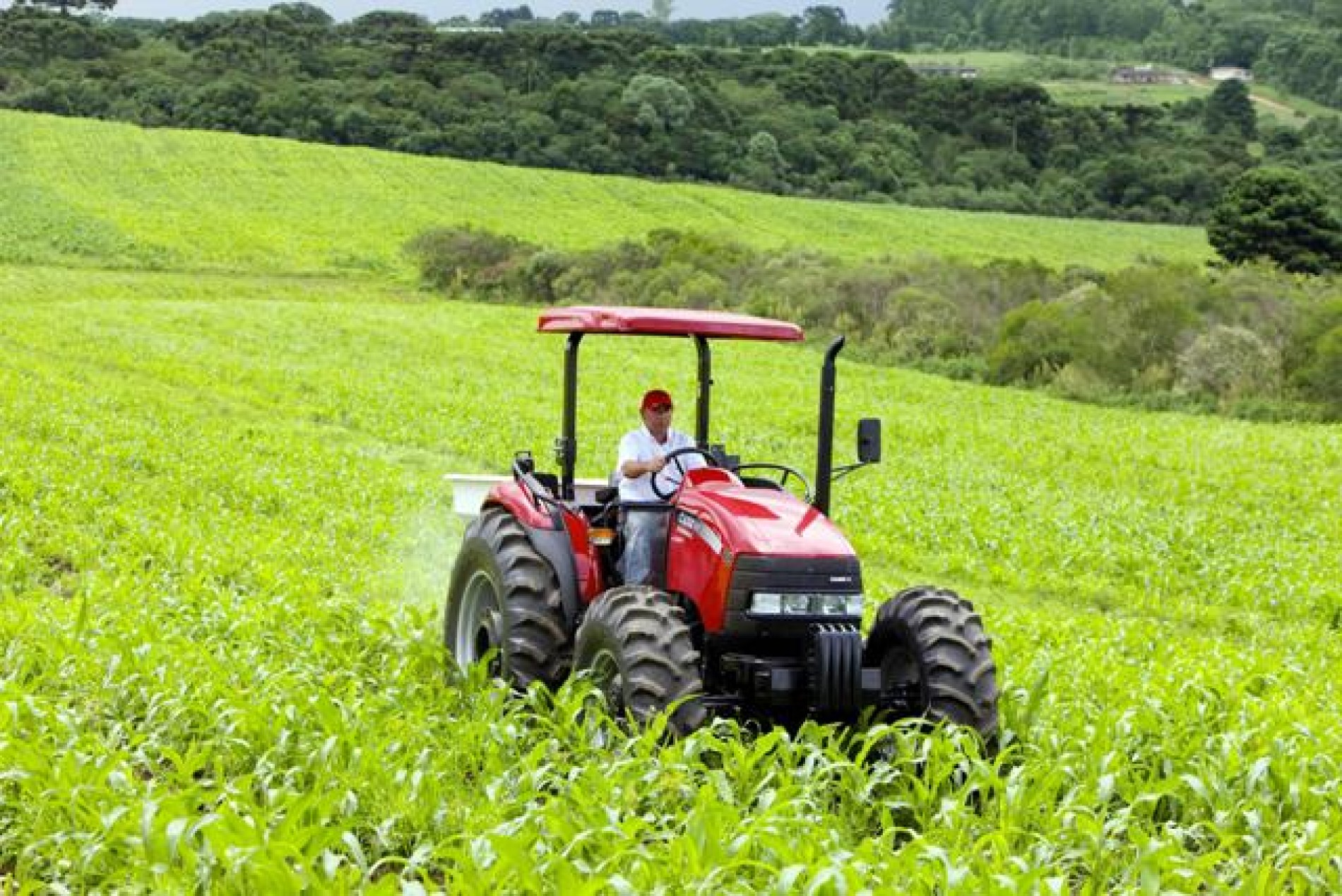 Operações para o Censo Agropecuário 2017 começam em outubro