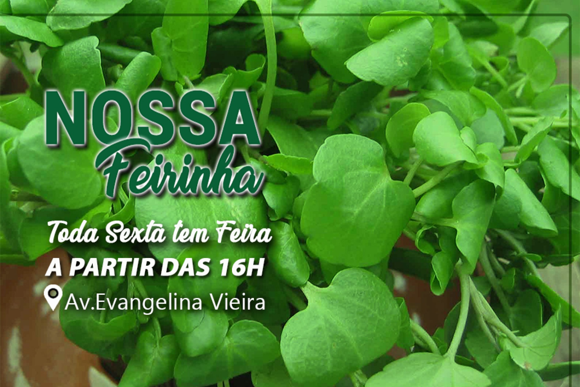 Na Nossa Feirinha....