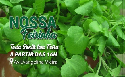 Na Nossa Feirinha....