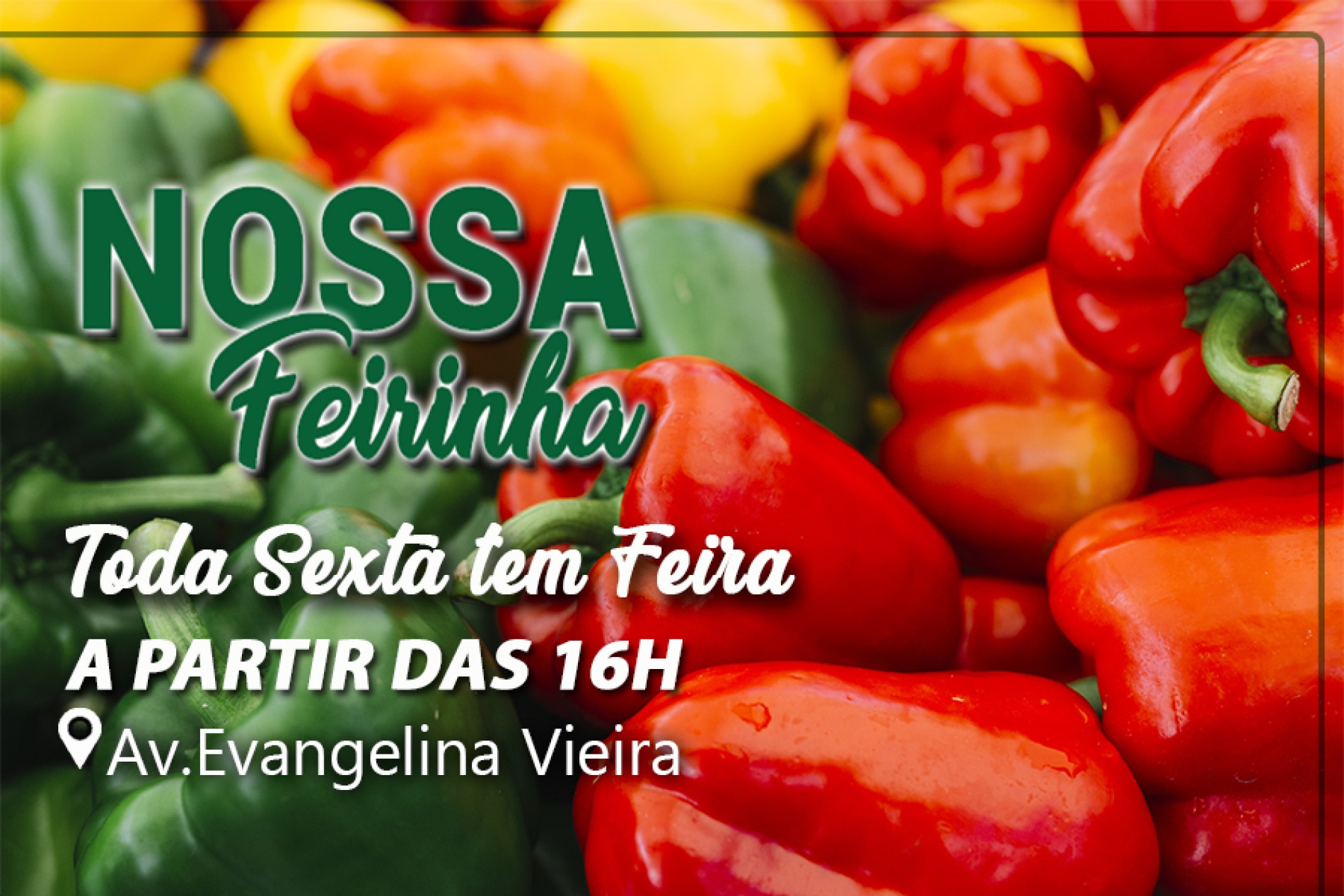 Em Nossa Feirinha você pode encontrar..