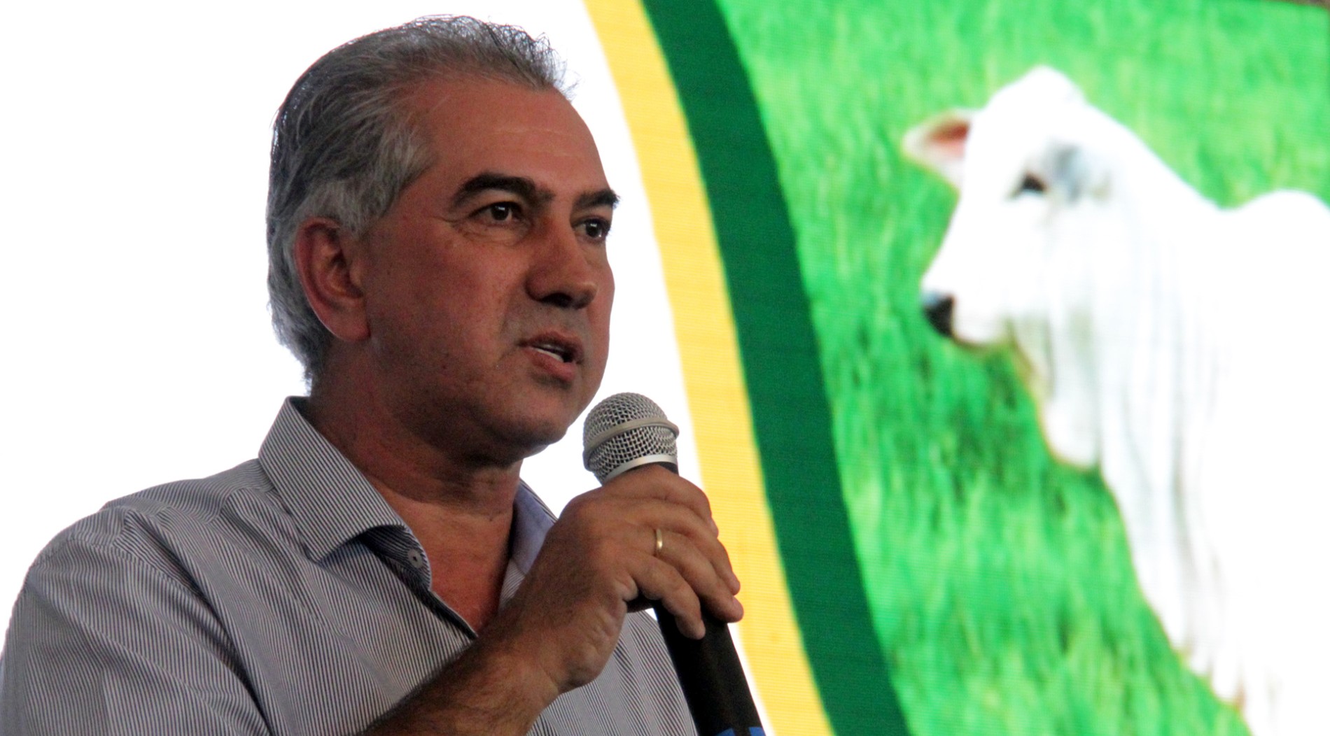 PRECOCE MS FARÁ COM QUE A CARNE DO ESTADO SEJA RECONHECIDA COMO A MELHOR DO BRASIL
