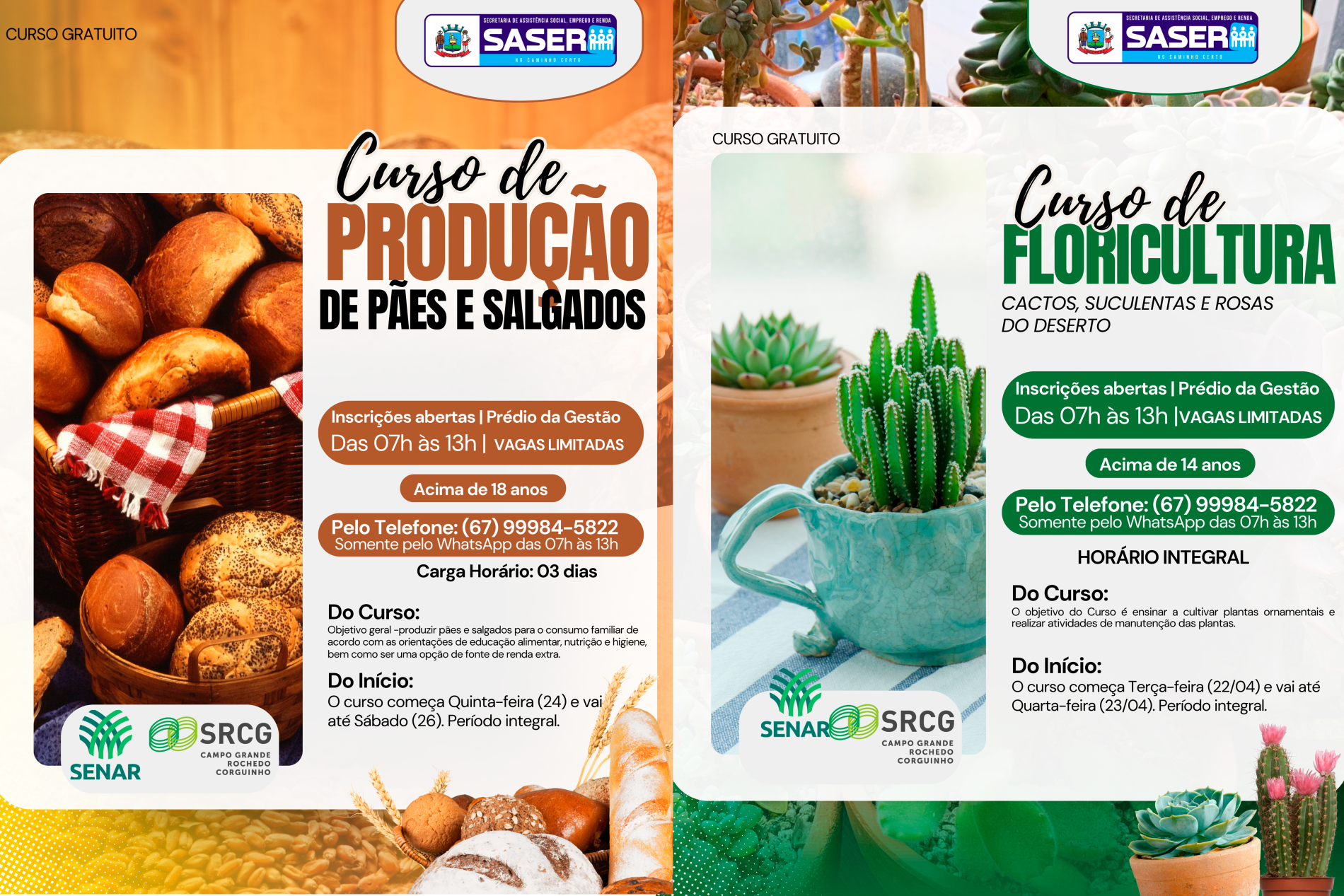 CURSOS GRATUITOS NA SASER