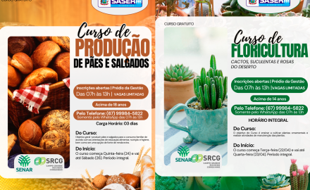 CURSOS GRATUITOS NA SASER
